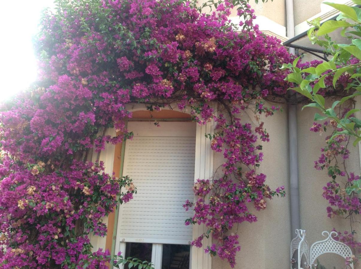A L'Ombre Du Cedre Hyères Exterior foto