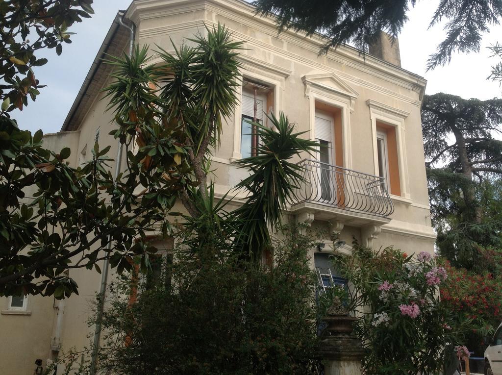 A L'Ombre Du Cedre Hyères Exterior foto