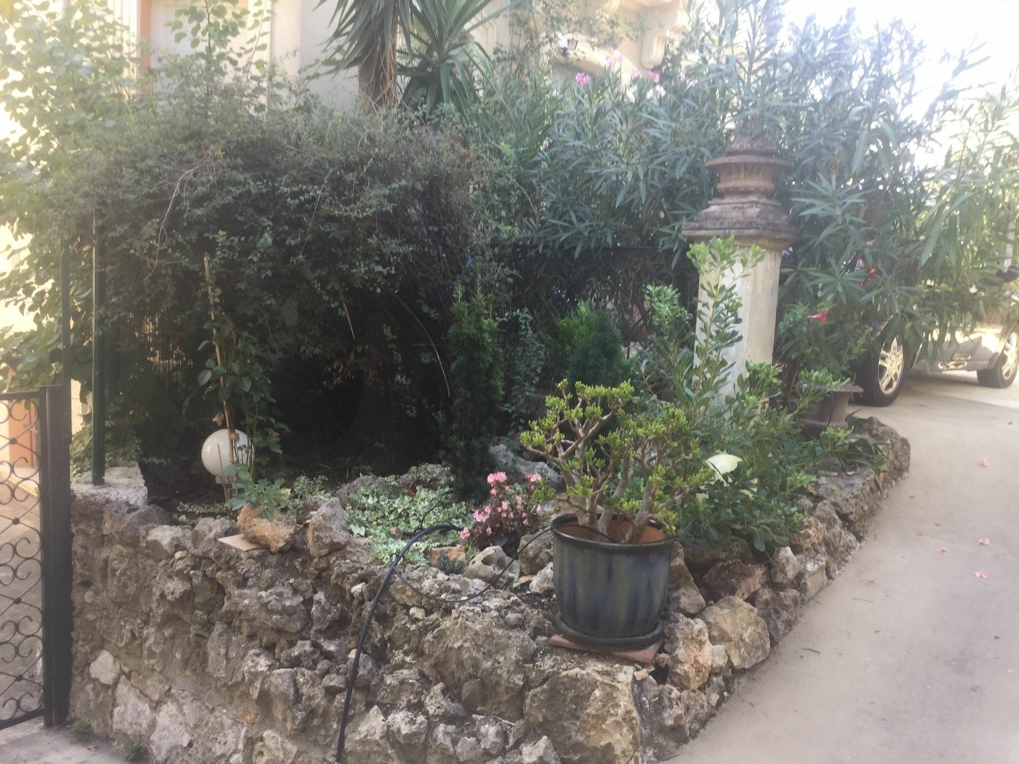A L'Ombre Du Cedre Hyères Exterior foto