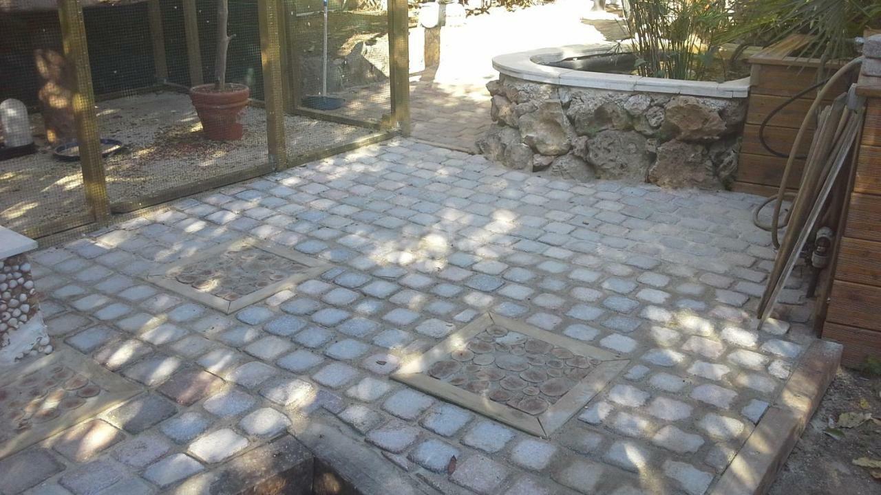 A L'Ombre Du Cedre Hyères Exterior foto